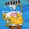 DESVER
追了