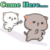 Come Here.....