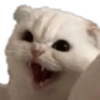 Memes pa’ gritaaaaar JAJAJA 15