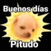 MEMESITOS PARA TI MOR😎 12