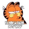 Garfield Grosero 11