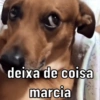 deixa de coisa
marcia