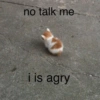 no talk me
20
i is agry