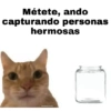 Métete, ando
capturando personas
hermosas
epastingpilartis