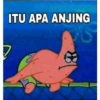 ITU APA ANJING