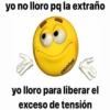yo no lloro pq la extraño
@bixhiiya!
yo lloro para liberar el
exceso de tensión