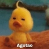 Agotao
