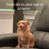 Cada día es peor que el anterior