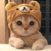I love cats 4 20