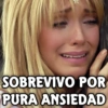 🌹Memes Random 🤡 28