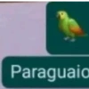 Paraguaio
