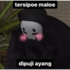 Sayang 8