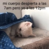 mi cuerpo despierta a las
7am pero yo a las 12pm