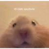 Miau miau caralho 4 7