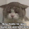 Soy todo lo que buscas pero triste