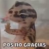 POS NO GRACIAS