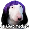 STICKERS
KANE ST
Ja, típico machito