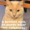 🌈☁️😎 Shitpost Mix 😎☁️🌈 2❤️ 27