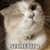 SECRETITO