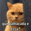 que palhaçada é
essa?