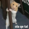 Animalitos Para Conversar 🦄🐸 10
