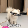 EL ÉXITO