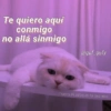 Gatitos Anti-depresivos Vol.1 9