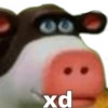 xd