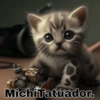MichiTatuador.