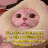 MEMES PACK 8 17