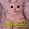 Gatitos que mejoran
tu mood
@Cats4mood en Instagram
Una relación es 50/50, tú
piensas que ropa ponerte
y yo pienso cómo quitartela.