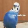Shitpost Random😎😉4 6