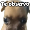 Ociseclove Stickers Te observo