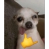 MEMES RANDOMM 2🤩 13