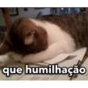 que humilhação