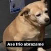 🌈☁️😎 Shitpost Mix 😎☁️🌈 2❤️ 15