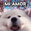 MI AMOR
@Giseelove_Stickers