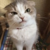 Animales enojados😡🤬 5