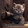MichiHerrero.
