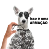 CatiPanda1 14
