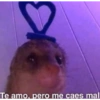 Memes para divertirse 7🤪 7
