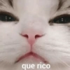 Pa molestar a tu novix 😈 14