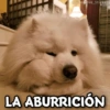 @Giseelove_Stickers
LA ABURRICIÓN
