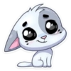 Cute dog 29