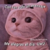Gatitos Anti-depresivos Vol.1 6
