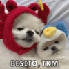 BESITO, TKM