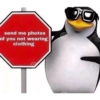 send me photos
of you not wearing
clothing
comit
