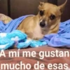 🌹Memes Random 🤡 10