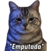 Gatos Cura Depresión😎🙀MEMES 10