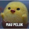 MAU PELUK